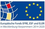 Logo ESF MV